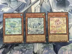 遊戯王　マルチャミーコレクターズレアセット