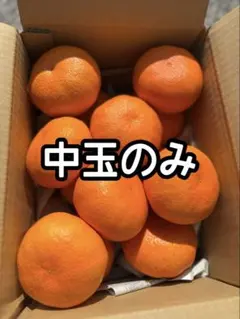 もも様専用出品