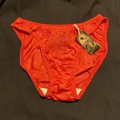 レトロ　ショーツ