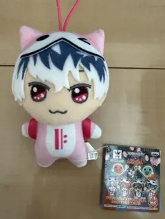 アイナナ 太鼓の達人　きらどるぬいぐるみ　どんぬい　ドンぬい 百　タグ付き