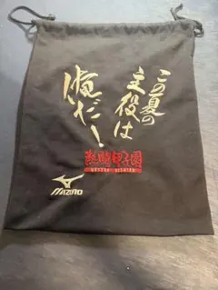 MIZUNO 熱闘甲子園 シューズケース ブラック