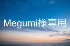 Megumi様専用 袖ロゴロンT 白