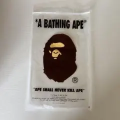 2026年最新】A BATHING APE ショップ袋・ショッパーの人気アイテム