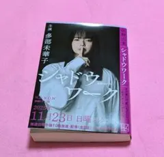 シャドウワーク　佐野広実