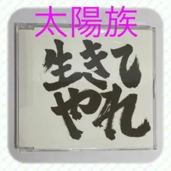 ◇ 太陽族 「生きてやれ」◇ 中古品　シングルCD 帯付き