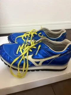 MIZUNO ビルトトレーナー 24.5cmのサムネイル