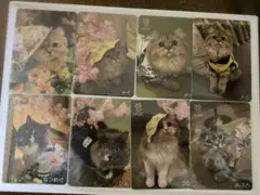 neko5656 匿名配送 様専用