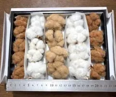 コットンフラワー　綿花　3色　ドライフラワー