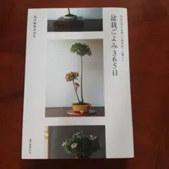 Item thumbnail for item 3a39111c-e315-47bd-ac58-6ad178f7c270