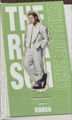 岩谷翔吾 アクスタ EXILE THE REASON