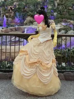 フリー出品　ドレスver ベルイメージウィッグ 美女と野獣 フリー出品 ドレスver ベルイメージウィッグ 美女と野獣