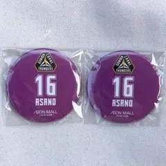 2個 群馬クレインサンダーズ コラボ缶バッジ プレゼント イオンモール太田