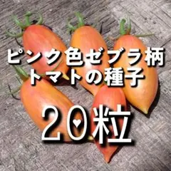 隣のイシちゃん様 リクエスト 3点 まとめ商品