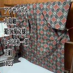 アンサンブル 大島紬 蜀江 菊文様 しつけ糸一部 正絹 t123