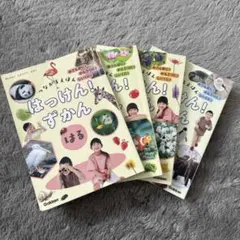 学研 はっけん！ずかん つながるえほん 4冊セット