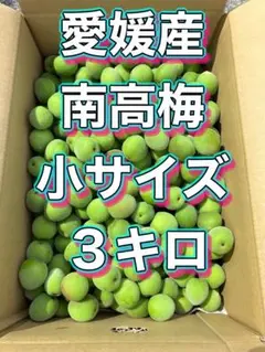愛媛産 南高梅 小サイズ 3キロ