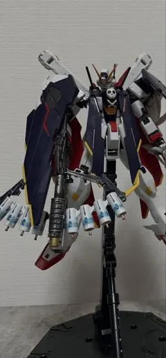 専用出品）HG クロスボーンガンダムX13ハーフクロス 製作 - メルカリ