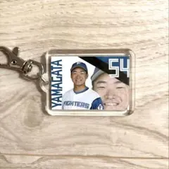 エスコン 応援グッズ