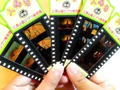 三鷹の森ジブリ美術館入場券5枚セット ポニョ、コクリコ坂、ハウルの動く城