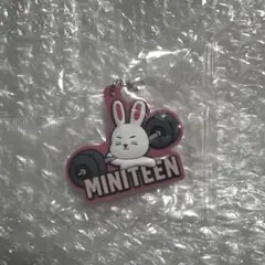 MINITEEN めじるしアクセサリー　スンチョル　ガチャガチャ