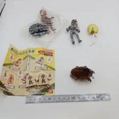 2026年最新】蝉の抜け殻の人気アイテム - メルカリ