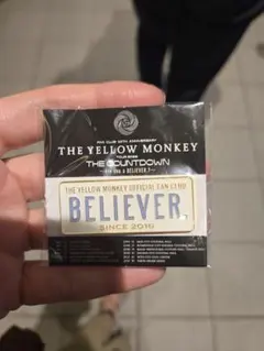 2026年最新】the yellow monkey ピックの人気アイテム - メルカリ