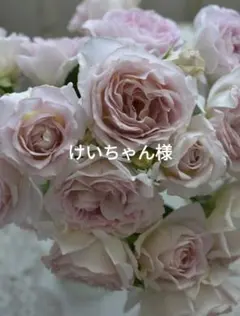 けいちゃん様専用ページ°・*:.。.☆