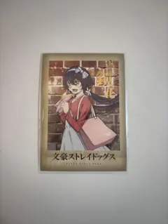 文スト 泉鏡花 ぱしゃこれ 箔押し 文豪ストレイドッグス ぱしゃこれ 泉鏡花 箔押し - メルカリ