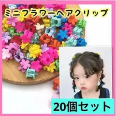 ヘアクリップ ⭕️２０個⭕️ 花 子供 カラフル 髪留め レディース ヘアアクセ