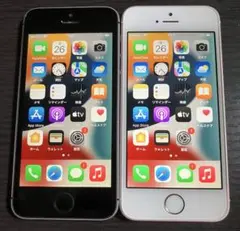 iPhoneSE 16GB 16GB gray SIMフリー 本体 A27 | Mercari