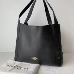 2026年最新】coach ハドリーホーボーの人気アイテム - メルカリ