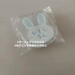 糸師凛 おなまえアクリルバッジ ナムコ限定 ブルーロック casualbunny