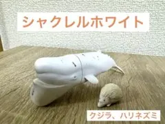 Item thumbnail for item 220c3cda-a4f7-4fd2-a6ef-775d25339b9c