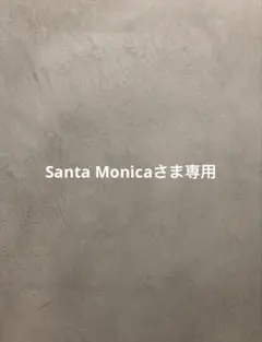 Santa Monicaさま専用