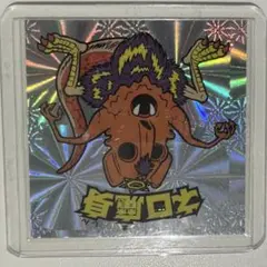 誤配　わ***様　専用出品