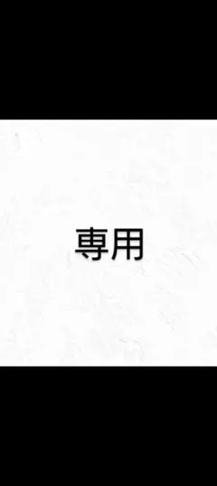 プロフ必読さま専用 プロフ必読 M♡プロフ必読 専用 M＊プロフィール必読さま専用 ZX