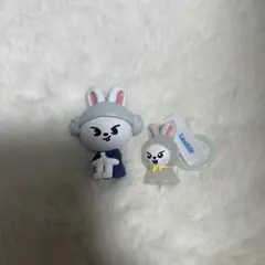スキズ　straykids ガチャ　リービット　リノ　サウナ