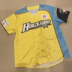 Item thumbnail for item 80828d11-c113-4b3f-a71e-746f011351a0