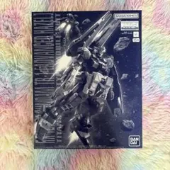 MG 1/100 ガンダムTR アドバンスド・ヘイズルセット★希少 値下げ！ MG 1/100 ガンダムTR アドバンスド・ヘイズルセット☆希少