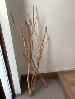 流木３本セット　インテリア　古道具　アンティーク