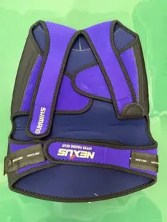 Item thumbnail for item e8713051-aff9-477d-9af2-fd6b43e6bcec