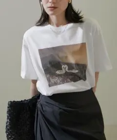 【Alec Soth（アレック・ソス）】スワンフォトTシャツ　Freeサイズ