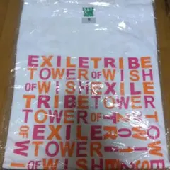 EXILE TRIBE TOWER OF WISH Tシャツ 2012