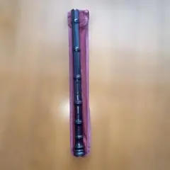 Item thumbnail for item 5a7e610e-6a0c-4953-9f31-4e100f17bb9a