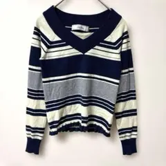 ニット　Vネック　ボーダー　ブルー　フリーサイズ　細身　フィット