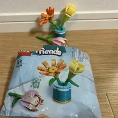 LEGO フレンズ　30634