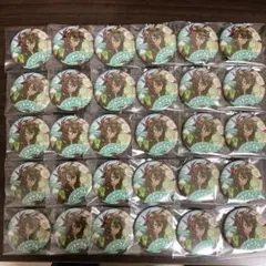 ワイテルズ モノパス シャークん 缶バッジ まとめ売り 値下げ交渉⭕️