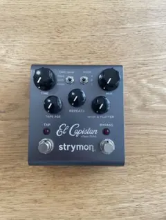 2026年最新】Strymon El Capistanの人気アイテム - メルカリ