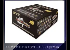 25周年デュエルマスターズ エキスパンションピンズ コンプリートセット 