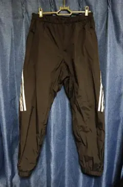 Item thumbnail for item 2c9c9bd2-9159-43d0-802f-c8eff6a7b760